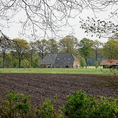 アパートホテル Wildenborcherhof フォルデン