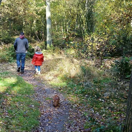 アパートホテル Wildenborcherhof