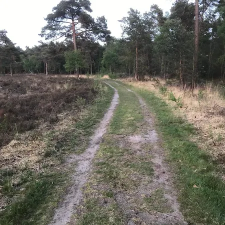 Wildenborcherhof アパートホテル フォルデン