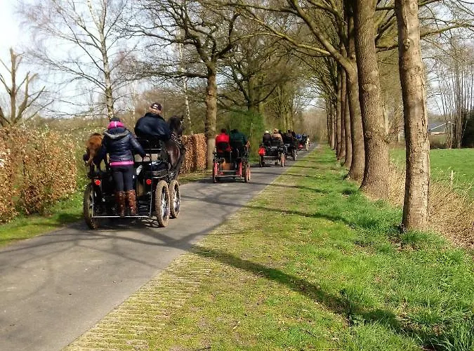 Ξενοδοχείο με διαμερίσματα Wildenborcherhof