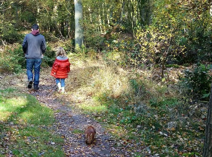 Lägenhetshotell Wildenborcherhof