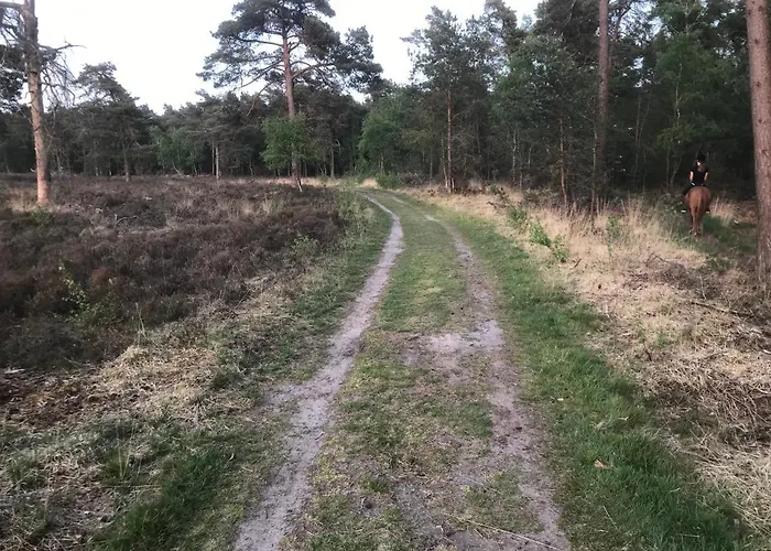 Wildenborcherhof Lägenhetshotell Vorden