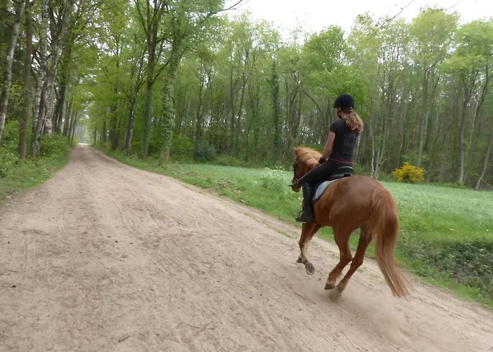 Wildenborcherhof 公寓式酒店